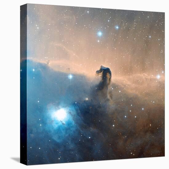 Horsehead Nebula-Davide De Martin-Stretched Canvas