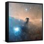 Horsehead Nebula-Davide De Martin-Framed Stretched Canvas