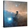 Horsehead Nebula-Davide De Martin-Stretched Canvas