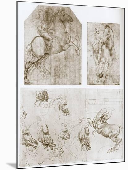 Horseman, 1480-1481-Leonardo da Vinci-Mounted Giclee Print