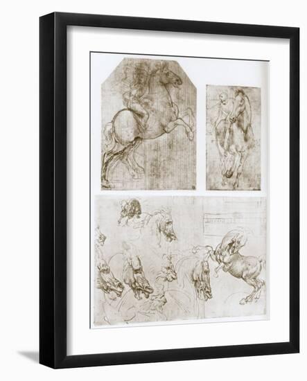 Horseman, 1480-1481-Leonardo da Vinci-Framed Giclee Print