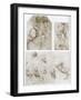 Horseman, 1480-1481-Leonardo da Vinci-Framed Giclee Print