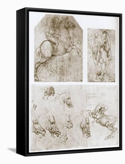 Horseman, 1480-1481-Leonardo da Vinci-Framed Stretched Canvas