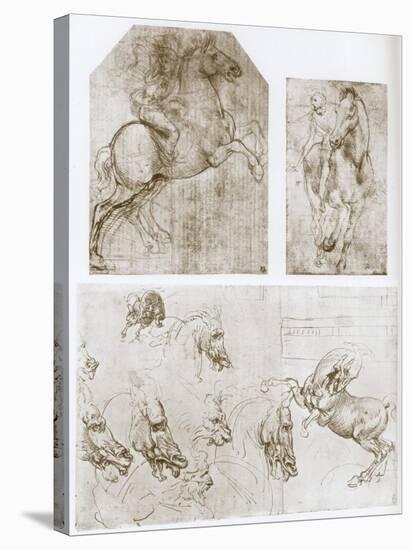 Horseman, 1480-1481-Leonardo da Vinci-Stretched Canvas