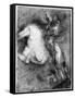 Horseman for the Battle of Cadore, C1525-Titian (Tiziano Vecelli)-Framed Stretched Canvas