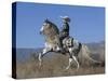 Horseman in Traditional Dress Riding Grey Andalusian Stallion, Ojai, California, USA-Carol Walker-Stretched Canvas