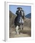 Horseman in Traditional Dress Riding Grey Andalusian Stallion, Ojai, California, USA-Carol Walker-Framed Photographic Print