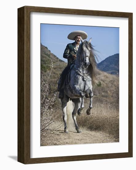 Horseman in Traditional Dress Riding Grey Andalusian Stallion, Ojai, California, USA-Carol Walker-Framed Photographic Print