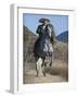 Horseman in Traditional Dress Riding Grey Andalusian Stallion, Ojai, California, USA-Carol Walker-Framed Photographic Print