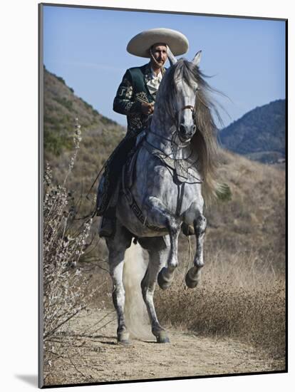 Horseman in Traditional Dress Riding Grey Andalusian Stallion, Ojai, California, USA-Carol Walker-Mounted Photographic Print