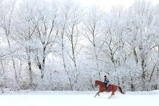 Woman and Her Horse Cantering in Fresh Snow in Christmas Morning-horsemen-Photographic Print