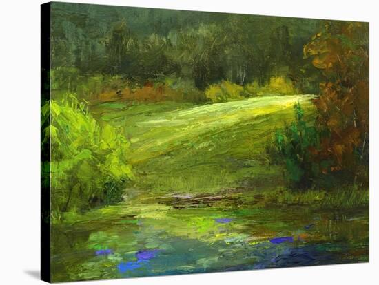 Horsepark at Woodside-Sheila Finch-Stretched Canvas