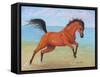 Horseplay-Tanja Ware-Framed Stretched Canvas