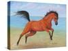 Horseplay-Tanja Ware-Stretched Canvas