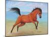 Horseplay-Tanja Ware-Mounted Giclee Print