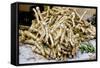 Horseradish Roots for Sale at Sigishoara Fruit-null-Framed Stretched Canvas