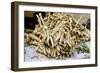 Horseradish Roots for Sale at Sigishoara Fruit-null-Framed Photographic Print