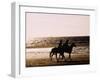 Horseriding on the Beach at Sunset, 1985 Normandy Deauville France-null-Framed Premium Photographic Print