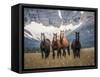 Horses Along the Rocky Mountain Front, Montana.-Steven Gnam-Framed Stretched Canvas