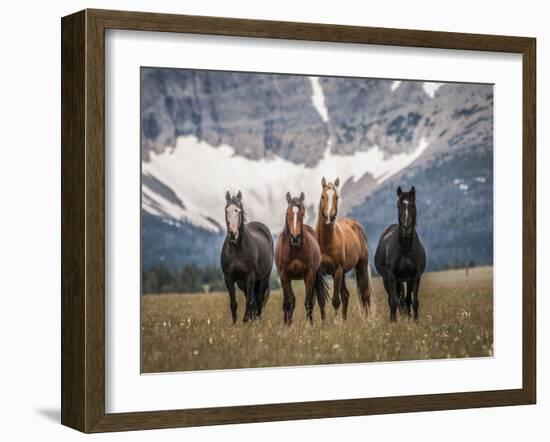 Horses Along the Rocky Mountain Front, Montana.-Steven Gnam-Framed Photographic Print