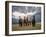 Horses Along the Rocky Mountain Front, Montana.-Steven Gnam-Framed Photographic Print