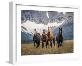 Horses Along the Rocky Mountain Front, Montana.-Steven Gnam-Framed Photographic Print