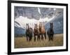 Horses Along the Rocky Mountain Front, Montana.-Steven Gnam-Framed Photographic Print
