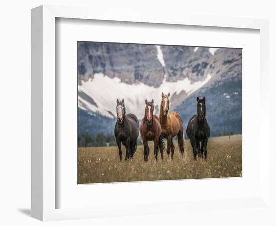 Horses Along the Rocky Mountain Front, Montana.-Steven Gnam-Framed Photographic Print