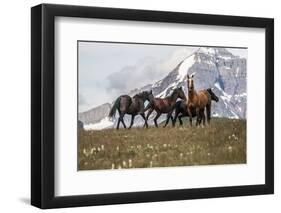 Horses Along the Rocky Mountain Front, Montana-Steven Gnam-Framed Photographic Print