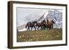 Horses Along the Rocky Mountain Front, Montana-Steven Gnam-Framed Photographic Print