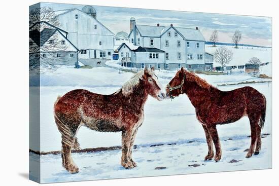 Horses, Amish Farm, Lancaster, Pa.-Anthony Butera-Stretched Canvas