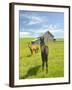 Horses and Barn in Prairie-Darrell Gulin-Framed Photographic Print