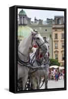 Horses and Carts on the Market in Krakow, Poland.-Curioso Travel Photography-Framed Stretched Canvas