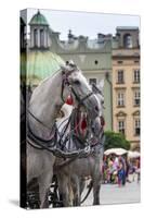 Horses and Carts on the Market in Krakow, Poland.-Curioso Travel Photography-Stretched Canvas