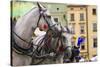 Horses and Carts on the Market in Krakow, Poland.-Curioso Travel Photography-Stretched Canvas