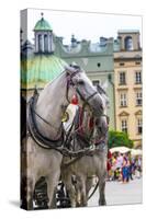 Horses and Carts on the Market in Krakow, Poland.-Curioso Travel Photography-Stretched Canvas