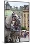 Horses and Carts on the Market in Krakow, Poland.-Curioso Travel Photography-Mounted Photographic Print