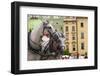 Horses and Carts on the Market in Krakow, Poland.-Curioso Travel Photography-Framed Photographic Print
