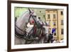 Horses and Carts on the Market in Krakow, Poland.-Curioso Travel Photography-Framed Photographic Print