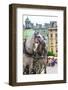 Horses and Carts on the Market in Krakow, Poland.-Curioso Travel Photography-Framed Photographic Print