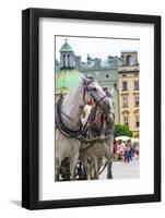 Horses and Carts on the Market in Krakow, Poland.-Curioso Travel Photography-Framed Photographic Print