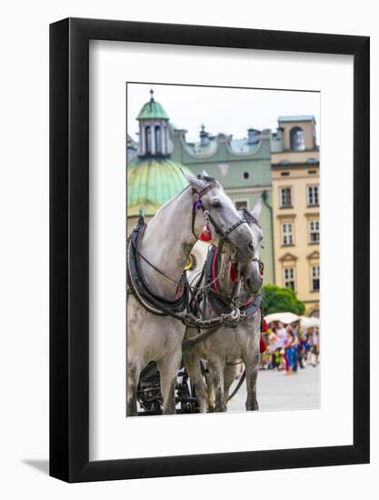 Horses and Carts on the Market in Krakow, Poland.-Curioso Travel Photography-Framed Photographic Print