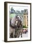 Horses and Carts on the Market in Krakow, Poland.-Curioso Travel Photography-Framed Photographic Print