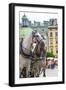 Horses and Carts on the Market in Krakow, Poland.-Curioso Travel Photography-Framed Photographic Print