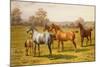 Horses and Foal in a Field-Charles Sillem Lidderdale-Mounted Giclee Print