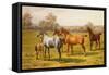 Horses and Foal in a Field-Charles Sillem Lidderdale-Framed Stretched Canvas