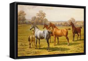 Horses and Foal in a Field-Charles Sillem Lidderdale-Framed Stretched Canvas