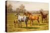 Horses and Foal in a Field-Charles Sillem Lidderdale-Stretched Canvas