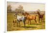 Horses and Foal in a Field-Charles Sillem Lidderdale-Framed Giclee Print