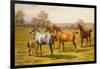 Horses and Foal in a Field-Charles Sillem Lidderdale-Framed Giclee Print